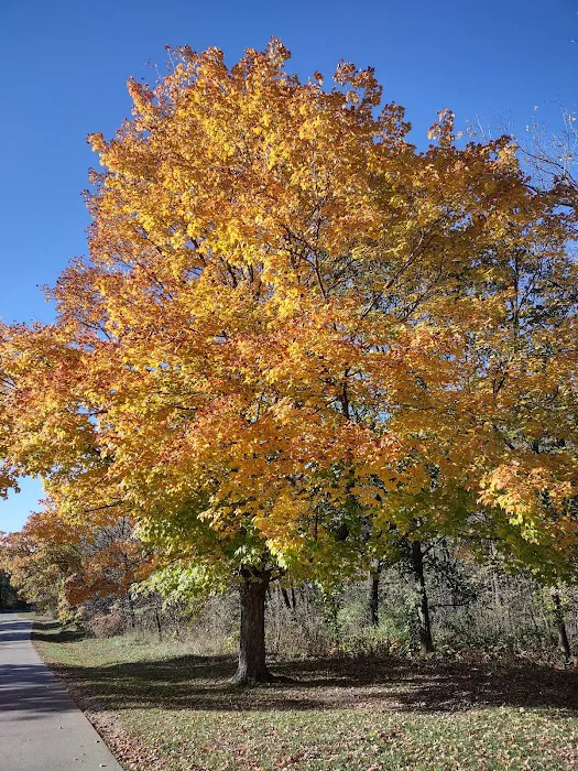 Marion County Park Picture 9