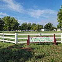 Lexington Village ico