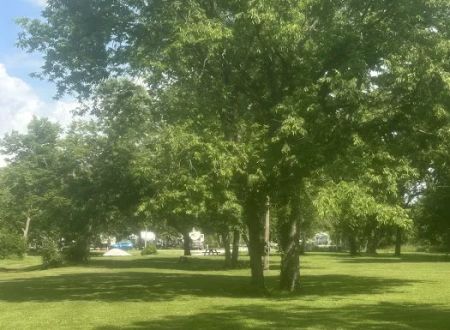 Wild Oak Campground
