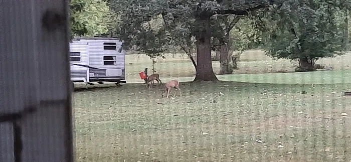 Wild Oak Campground Picture 10