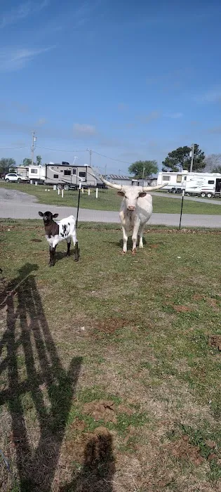 Red River Ranch Rv Resort Picture 5