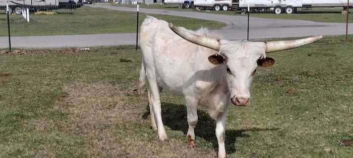 Red River Ranch Rv Resort Picture 9
