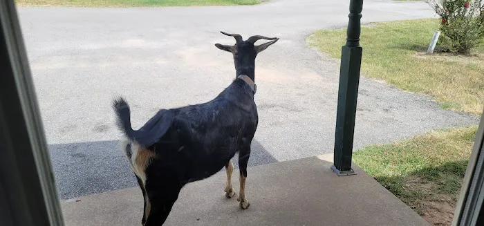 Red River Ranch Rv Resort Picture 7