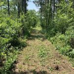 Holden Campground