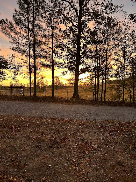 Oakhill Campground & RV Park Picture 4
