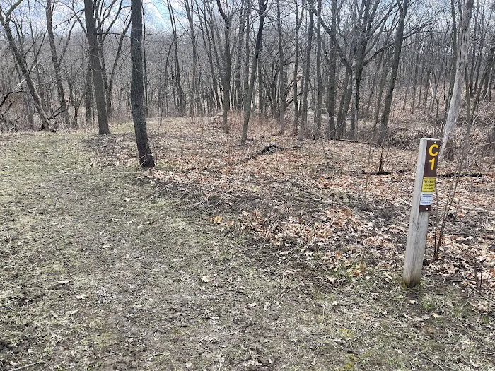 Cart-in Campground Picture 6