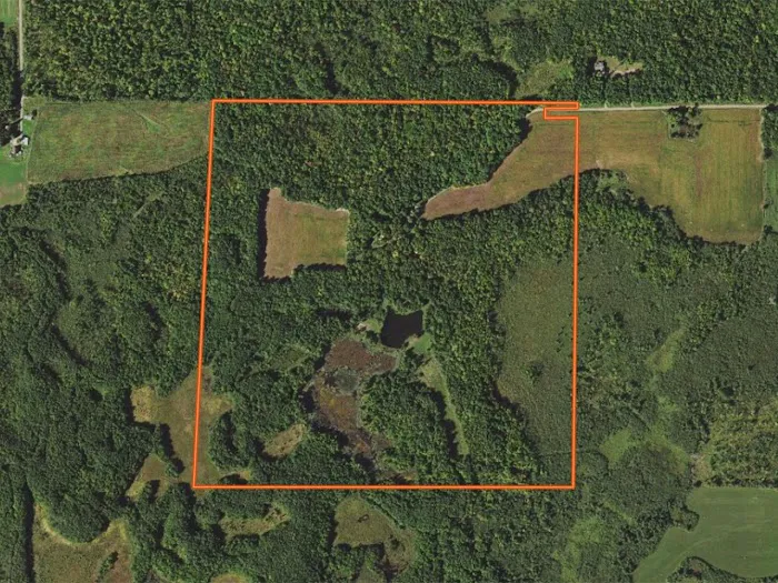 Split Ridge Campground Picture 1