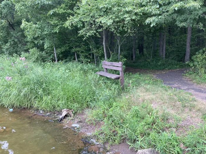 Chippewa Campground Picture 10