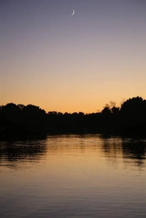 Pine Point Campground Picture 2