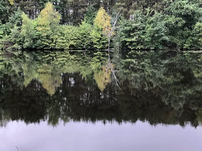 Pine Point Campground Picture 4