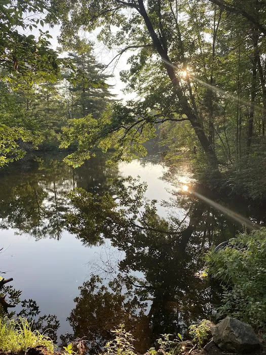Pine Point Campground Picture 5