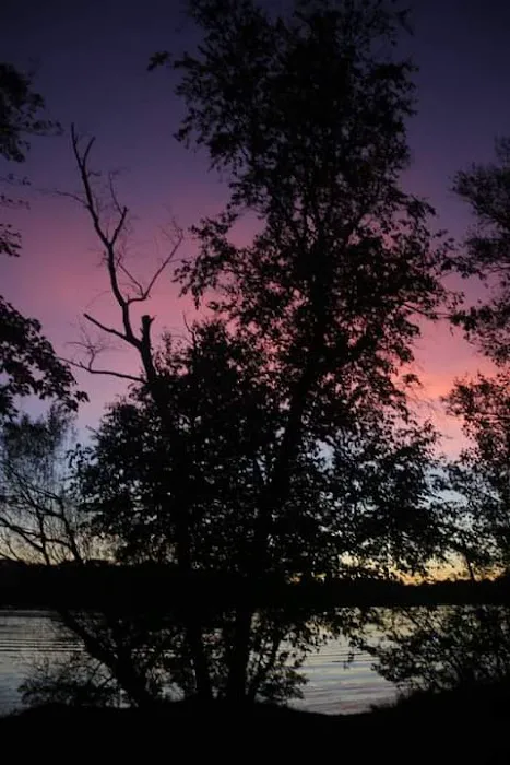 Pine Point Campground Picture 9