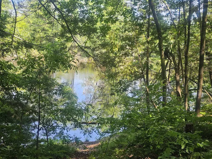 Pine Point Campground Picture 10