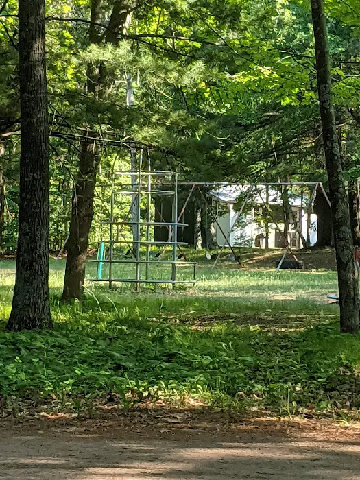 White Birch Inc Picture 5
