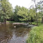 Jimmy's World Bar and Campground