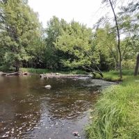 Jimmy's World Bar and Campground ico