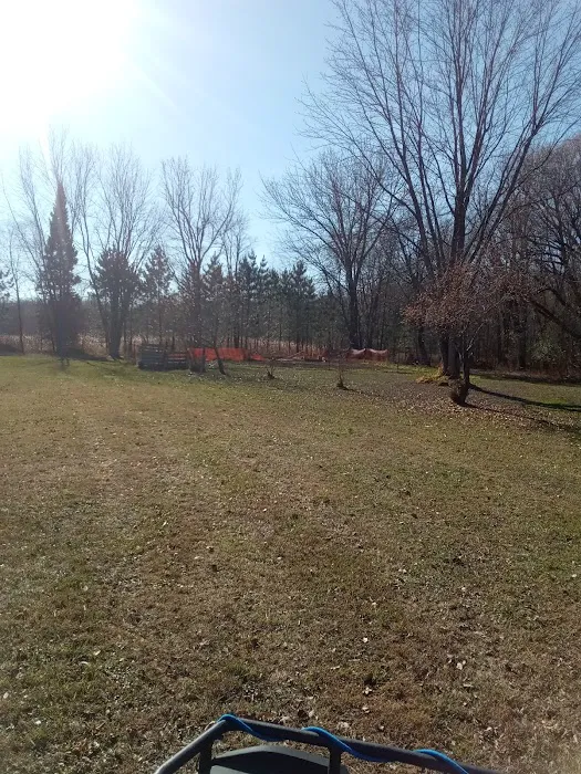 Jimmy's World Bar and Campground Picture 3