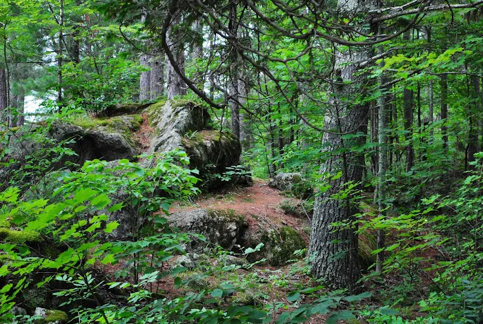 Big Falls County Park & Campground Picture 8