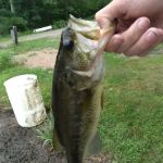 Salisbury Campground