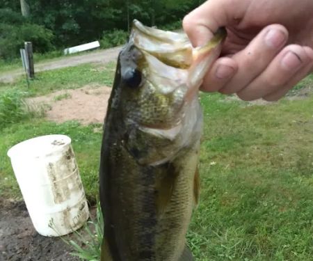 Salisbury Campground