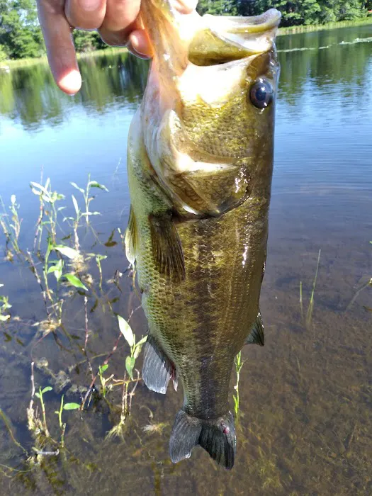 Salisbury Campground Picture 4