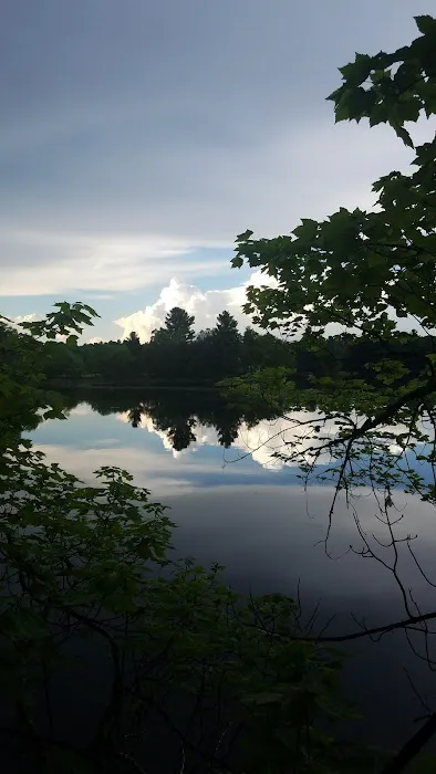 Loon Lake Campground Picture 1