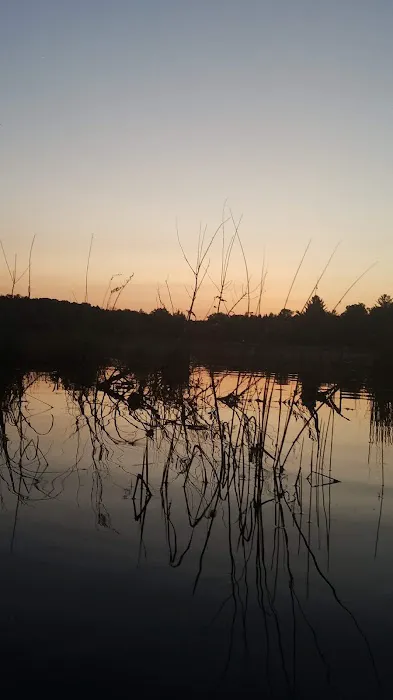 Loon Lake Campground Picture 5