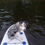 Morris-Erickson Campground