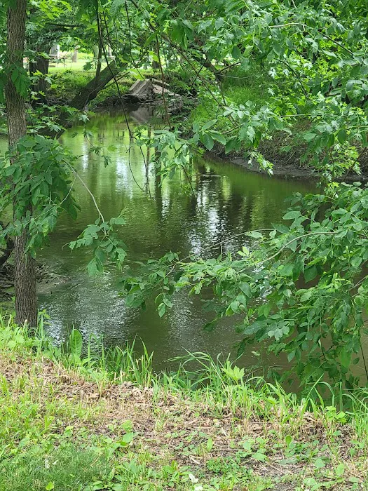 River View Campground Picture 6