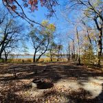 Cart-In Campsites