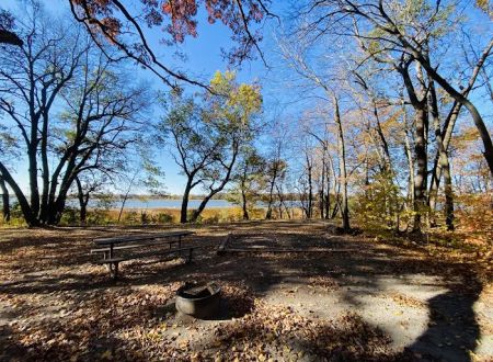 Cart-In Campsites