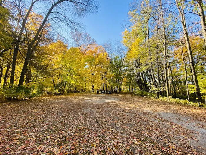 Cart-In Campsites Picture 3