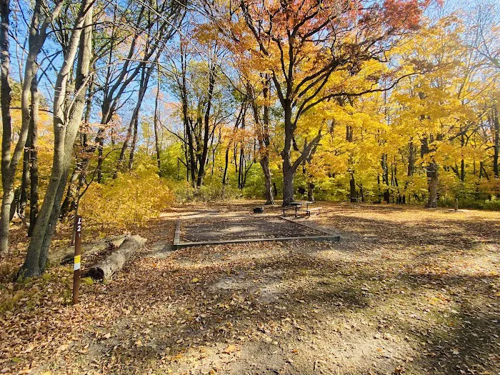 Cart-In Campsites Picture 6