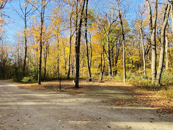 Rice Lake State Park Campground Picture 3