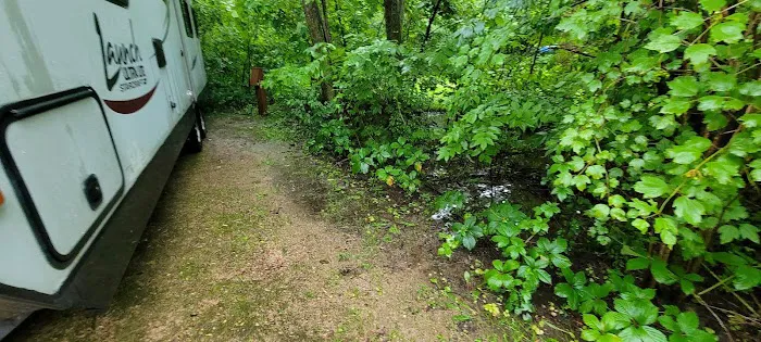 Rice Lake State Park Campground Picture 9