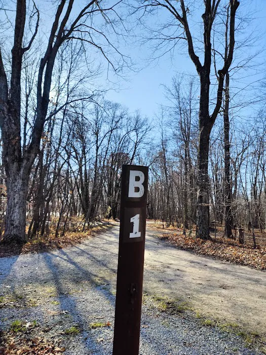 Rice Lake State Park Campground Picture 10