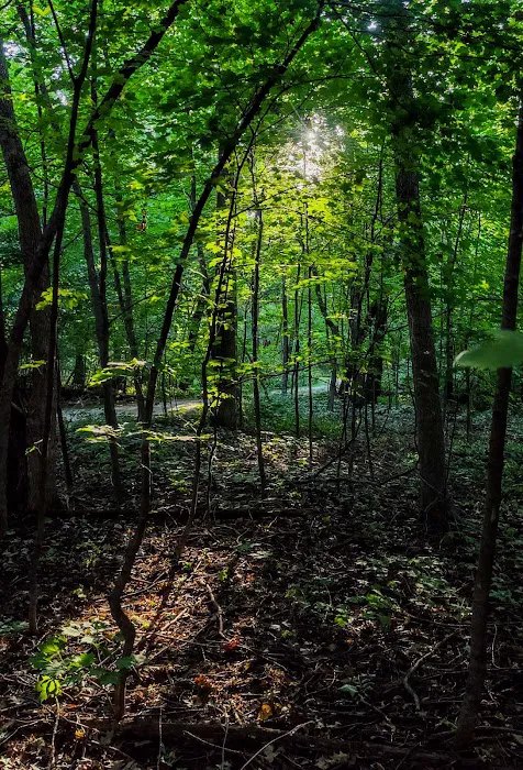 Rice Lake State Park Campground Picture 7