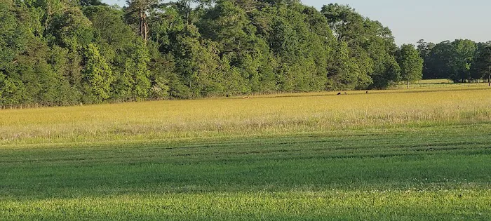 Country Breeze Mobile Home Park Picture 2
