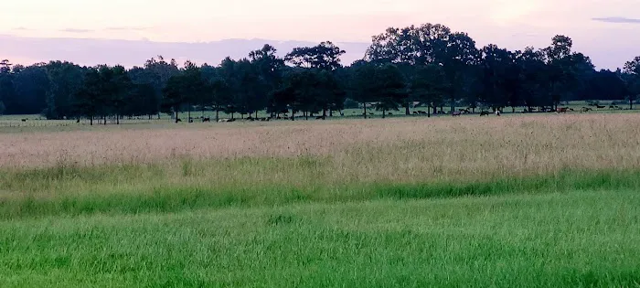 Country Breeze Mobile Home Park Picture 1