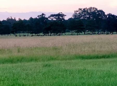 Country Breeze Mobile Home Park