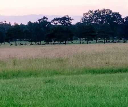 Country Breeze Mobile Home Park
