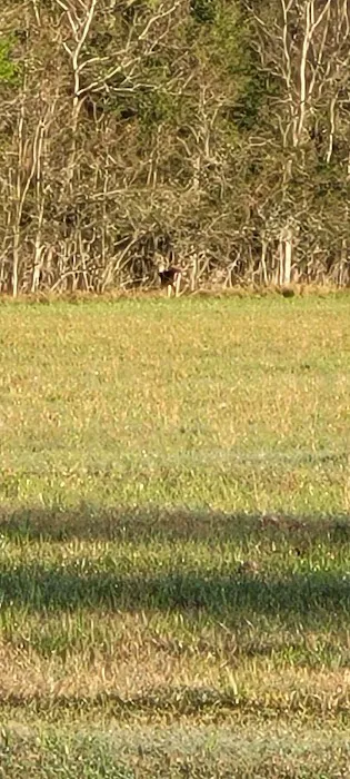 Country Breeze Mobile Home Park Picture 7