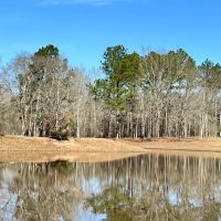 Jellystone Park - Cochran, GA ico