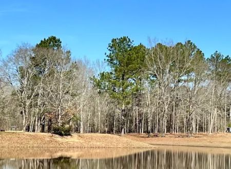 Jellystone Park - Cochran, GA