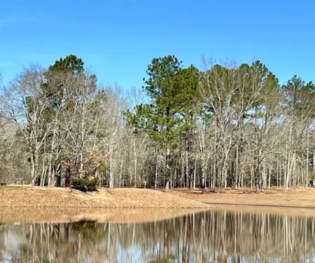 Jellystone Park - Cochran, GA