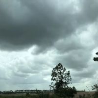 Jim's Place Park ico