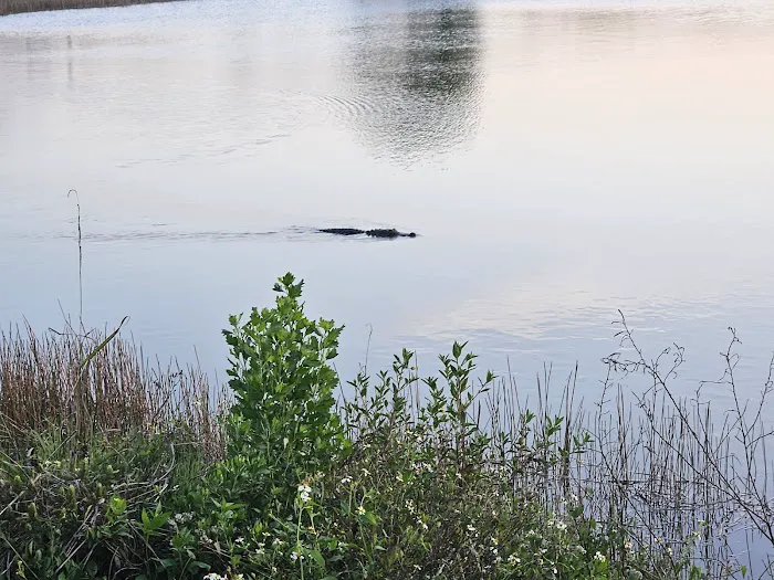 South Bay RV Park Picture 1