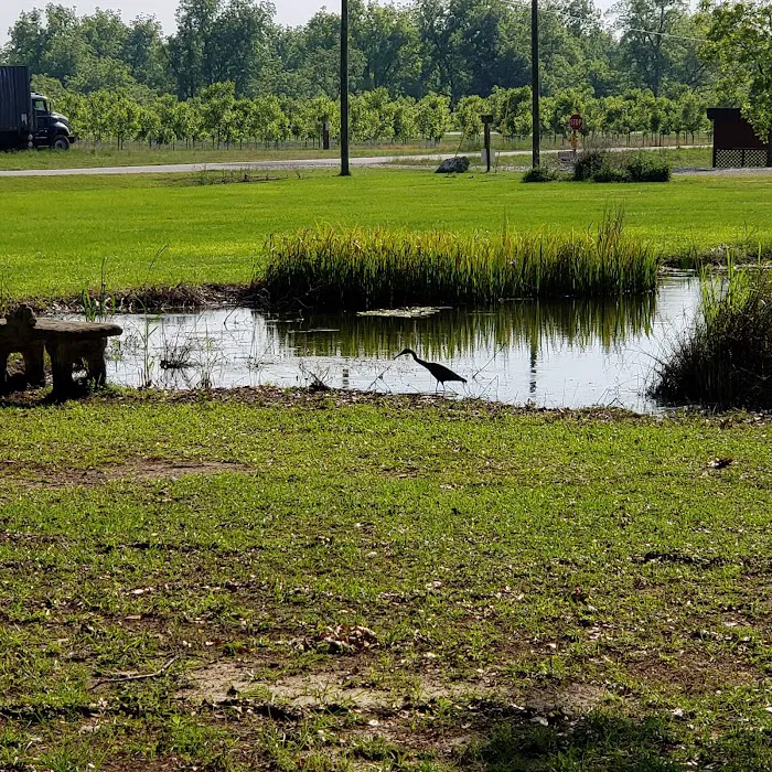 CreekSide RV Park & Campground Picture 10