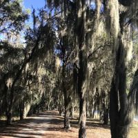 Hardee County Lakes ico