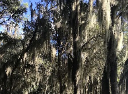 Hardee County Lakes